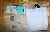 hapsenje na brankovom mostu video