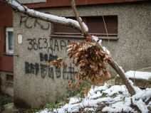 badnjak gde ga ostaviti posle bozica beograd baceni po ulici