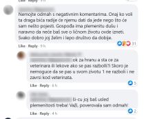 zena na fejsbuku hoce da udomi psa rase si cu rasprava komentari