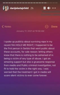 miroslav mika aleksic silovanje milena radulovic danijela stajnfeld