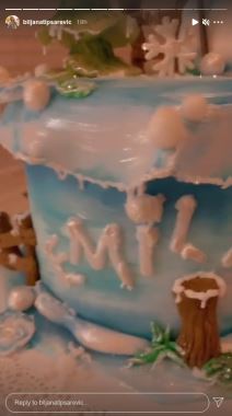 biljana tipsarevic cerka rodjendan emili instagram foto video