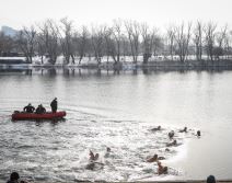 plivanje za casni krst bogojavljenje ada ciganlija