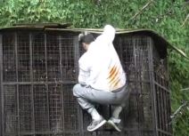 kristijan golubovic pao zadruga video