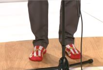 bora eskic sarenica pevao u carapama