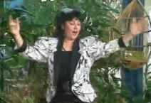 Snežana Jovanović Šikica tukla ljubavnice svog muža