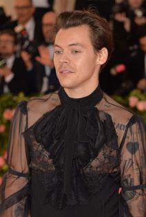 hari stajls zene foto