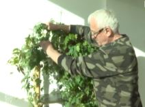 era ojdanic imanje leskovac zene spavaca soba