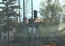 Vera Matović novi stajling