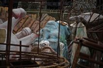 rio de zaneiro 2021 otkazan karneval u riu korona virus fotografije