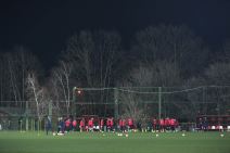 crvena zvezda milan trening marakana dejan stanković