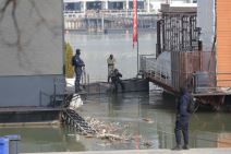 pretres splava fristajler