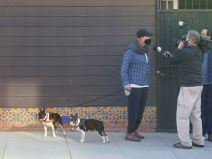 lejdi gaga psi vraćeni setac ranjen napad video