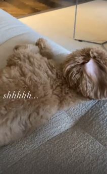 Kako izgleda stan Emine Jahović od 1000000 evra