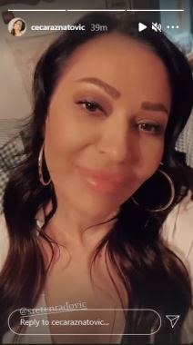 ceca raznatovic rucak provod sreten radovic