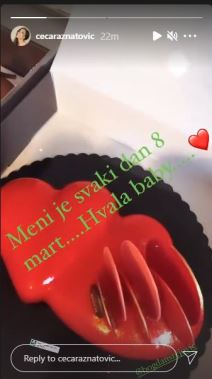 ceca raznatovic decko bogdan osmi mart pokloni iznenadjenje