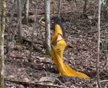 jelena karleusa mia kalifa iste haljine foto