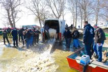 poribljavanje dunava saran vode vojvodine