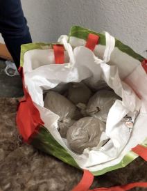 hapsenje akcija gnev zaplena heroina miloja djaka garaza