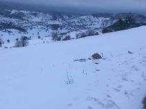 srbija vreme prognoza sneg mart 