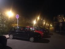 beograd konjarnik nepropisno parkiranje pesacki prelaz foto