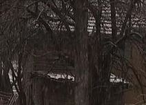 najstarija srpkinja pobedila korona virus 