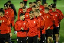 dragan stojkovic piksi prvi trening reprezentacija