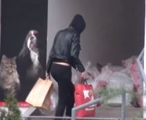 nenad aleksic sa zena ivana vladimir tomovic tara simov zadruga