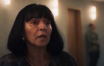 serija porodica reakcije dejan karaklajic