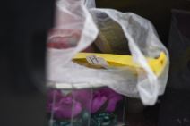 jelena marjanovic pomen zoran marjanovic groblje ubistvo pevacice