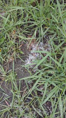 beograd padao grad fotografija