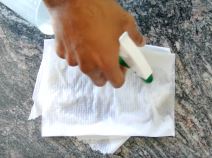 kako zasaditi drvo limuna u saksiji saveti foto 