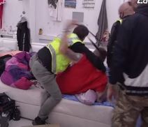 Maja nasrnula na Cara