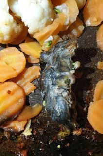 mis u hrani zamrznuto povrce sunny fantasy royal mix