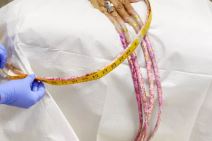 najduzi nokti na svetu ginisov rekord ajana vilijams odsekla nokte fotografije