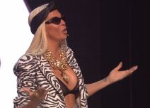 jelena karleusa zvezde granda grudi