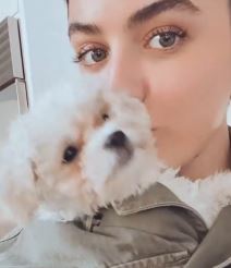 kako pokriti bubuljice