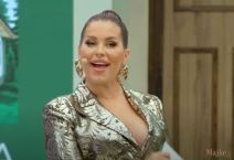 majke i snajke seka aleksic 20 epizoda 