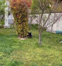 rados bajic raskosno imanje kuca gde zivi 