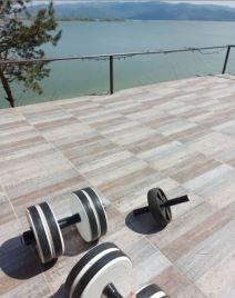 aca amadeus poljoprivreda sadi krompir golubac