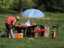 prase peku na trotoaru kragujevac