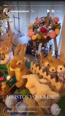 ceca raznatovic uskrs dekoracija savlje u kuci