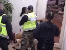 maja marinkovic histericni napad zadruga otac taki