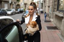 ana korac kolica za psa