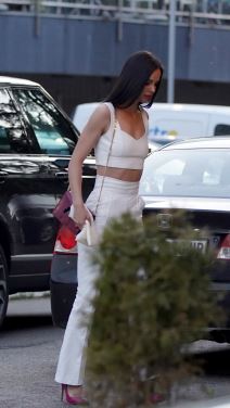 bogdana raznatovic rodjendan bogdan srejovic foto