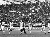 rajko mitici osnivaci crvena zvezda istorija milovan jaksic branko stankovic piksi