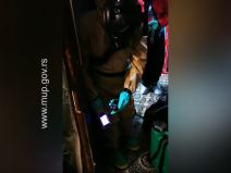 topola policija otkrila laboratoriju za uzgoj marihuane video snimak 