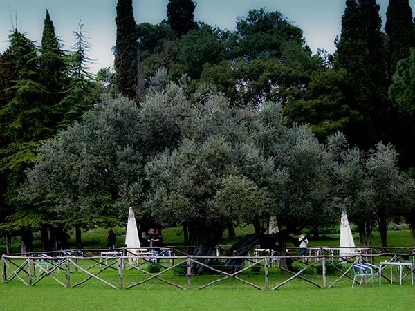 Sofija Loren provela 15 dana sa Titom, zbog nje uradio nešto što nije ni za ženu