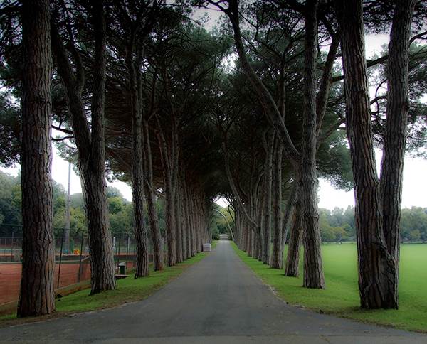 Sofija Loren provela 15 dana sa Titom, zbog nje uradio nešto što nije ni za ženu