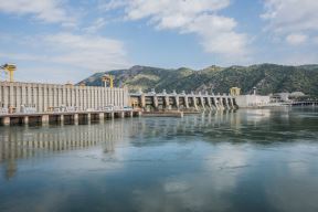 elektroprivreda srbije brzo odustajuanje od uglja donosi gubitke