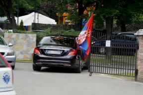savo milosevic svadba aleksandar mitrovic